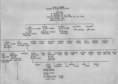 Riemann family tree