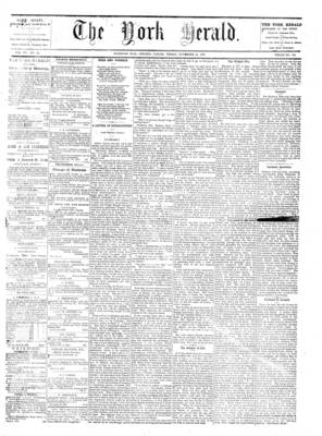 York Herald, 14 Nov 1873