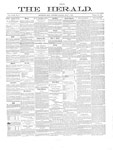 York Herald, 7 Jul 1876