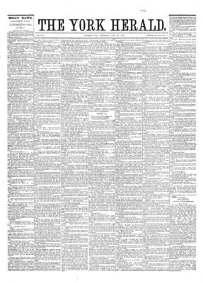 York Herald, 31 Jul 1879