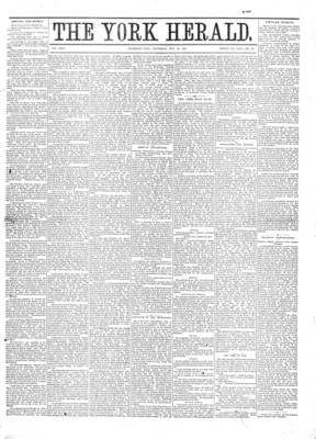 York Herald, 24 Nov 1881