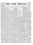 York Herald, 23 Oct 1884