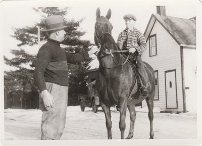 Dr. MacDougall's horse