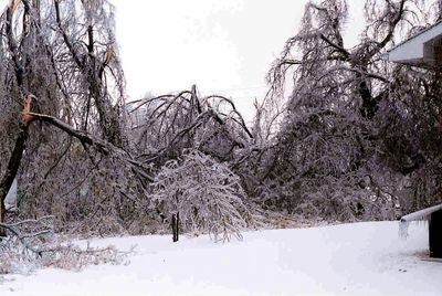 Une scène du verglas de 1998