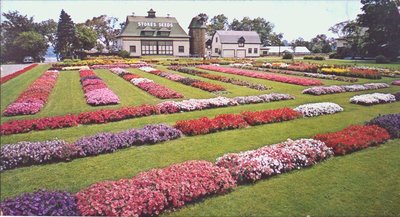 Stokes Seeds Farm at 370 Martindale Rd.