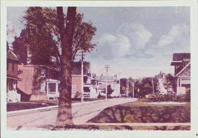 College Street looking towards the park (Montebello)