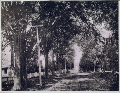 Geneva Street looking north from Russell Avenue