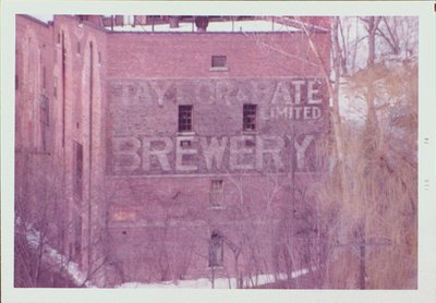 Taylor & Bate Brewery Ltd.