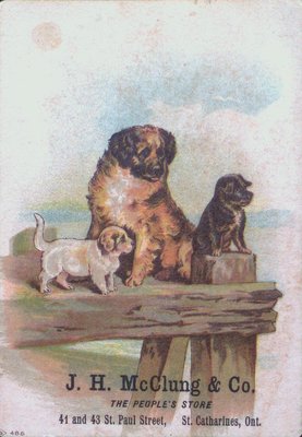 J.H. McClung & Co. Advertising Postcard