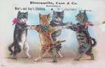 Bissonnette Case & Co. Advertising Postcard
