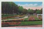 Souvenir view of St. Catharines & Port Dalhousie: Rose Garden, Montebello Park