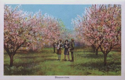 Souvenir view of St. Catharines & Port Dalhousie: Blossom-Time