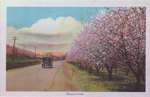 Souvenir view of St. Catharines & Port Dalhousie: Blossom-Time