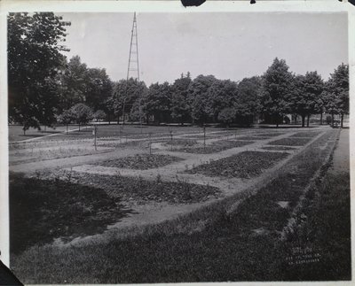 Construction of the Rose Garden at Montebello Park