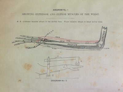 Teresa Vanderburgh's Musical Scrapbook #1 - Pamphlet: Anatomical Details Involved in Piano-Playing