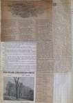 Teresa Vanderburgh's Musical Scrapbook #1 - Various Clippings