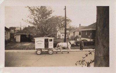 Sanitary Dairy Horse and Cart