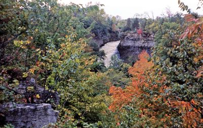 Rockway Falls