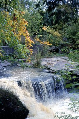 Rockway Falls