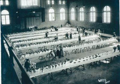 A Rose Show in the St. Catharines Armoury