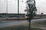 A North End Plaza and the A&P Grocery Store