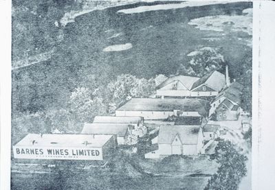 Barnes Wines Limited