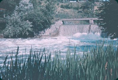 A Weir Along the Old Canal