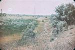 A View of a Valley Near the Welland Ship Canal