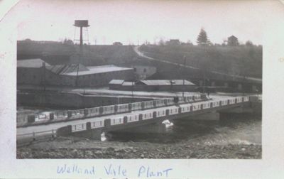 Welland Vale Plant