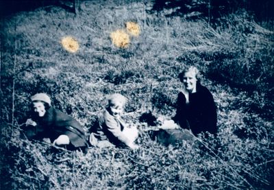 Picnickers in Burgoyne Woods