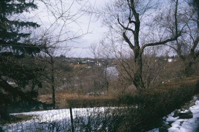 The Old Welland Canal from Yates Street