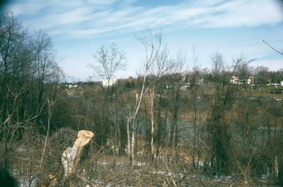 The Old Welland Canal and Yates Street