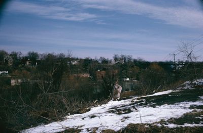 Looking Across the Old Welland Canal at Taylor and Bates Brewery