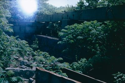 The Old Welland Canal in Merritton