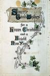 A Christmas and New Years Greeting Card