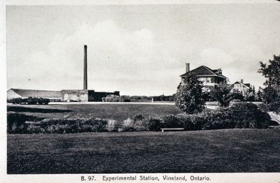 Vineland Experimental Station