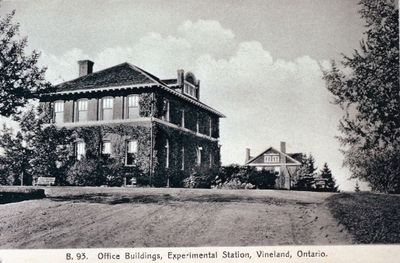 Vineland Experimental Station