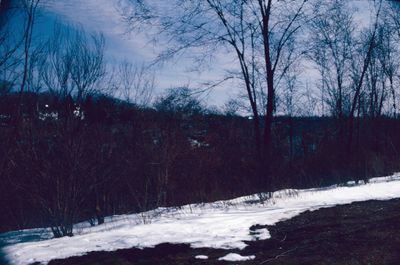 A View of the 12 Mile Creek from Yates Street