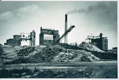 Domtar Paper Mills