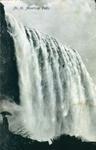 The American Falls