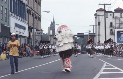 The Grape and Wine Festival, 1977