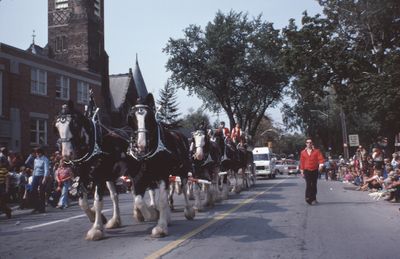 The Grape and Wine Festival, 1978