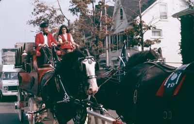 The Grape and Wine Festival, 1978