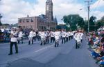 The Grape and Wine Festival, 1984