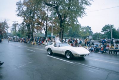 The Grape and Wine Festival, 1982