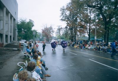 The Grape and Wine Festival, 1982