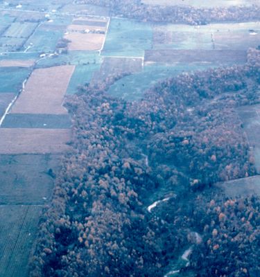 View South of the Niagara Escarpment