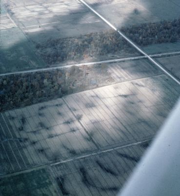 Aerial View of Farmland