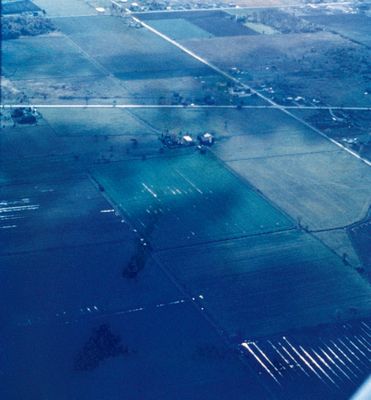 Aerial View of Farmland