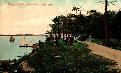 Cora Goring Collection - Kawartha Lakes Postcard